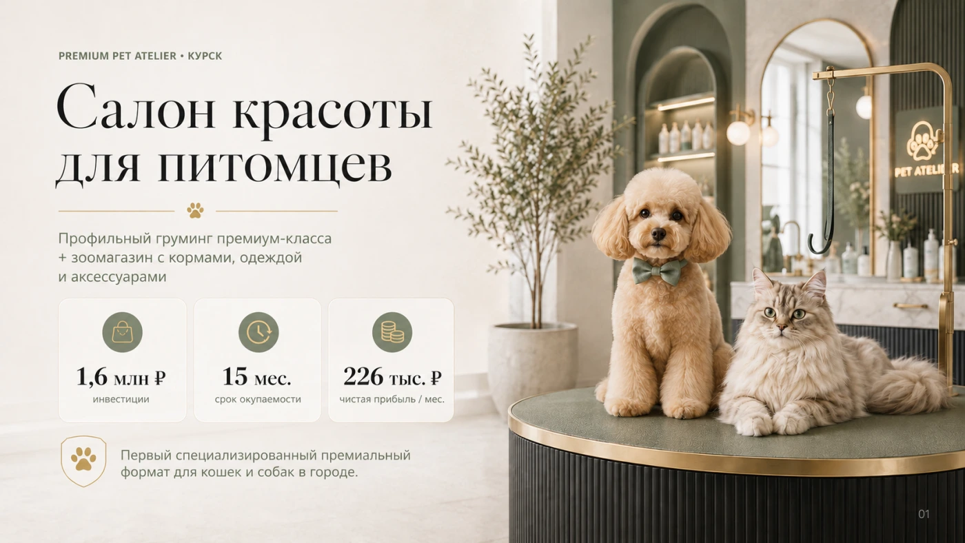 Груминг, привлечение инвестора.