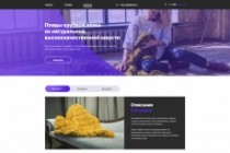 Создам дизайн сайта 14 - kwork.ru