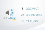 Озвучу Ваш youtube канал мужским приятным голосом 2 - kwork.ru
