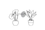 I will draw minimalist one line art botanical illustration plants 14 - kwork.com