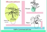 I will draw minimalist one line art botanical illustration plants 9 - kwork.com