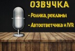 Приятный голос для озвучки Ролика, рекламы, автоответчика и IVR 2 - kwork.ru