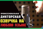 Профессиональная дикторская озвучка на любых иностранных языках 2 - kwork.ru
