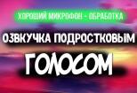 Озвучу ролик или рекламу 5 - kwork.ru