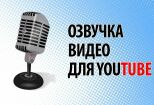 Профессиональная озвучка молодежным голосом 2 - kwork.ru