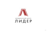 Сделаю лого 9 - kwork.ru
