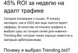 SEO тексты, копирайтинг RU и ENG 12 - kwork.ru