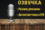 Озвучка ролика И сведения звуков 2 - kwork.ru