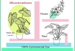 I will draw minimalist one line art botanical illustration plants 10 - kwork.com