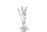 I will draw minimalist one line art botanical illustration plants 11 - kwork.com