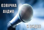 Озвучка рекламы 2 - kwork.ru
