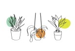I will draw minimalist one line art botanical illustration plants 13 - kwork.com