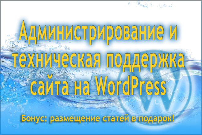       CMS WordPress