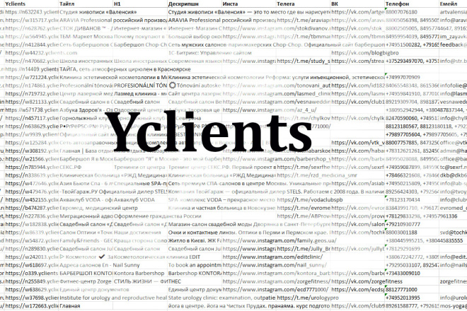 ,  CRM Yclients - , ,   2023