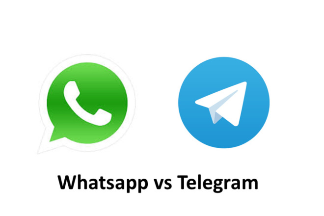    Telegram  WhatsApp  WordPress