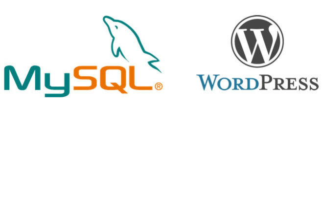   Wordpress + MySQL  Docker-compose