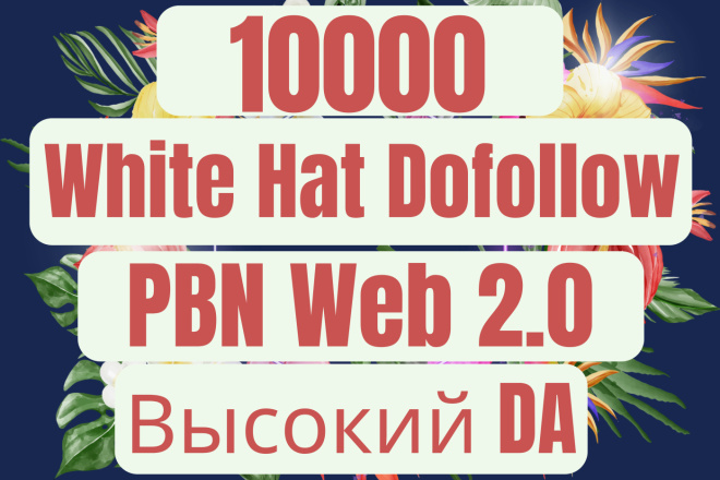2, 000  Dofollow PBN Web 2.0 SEO
