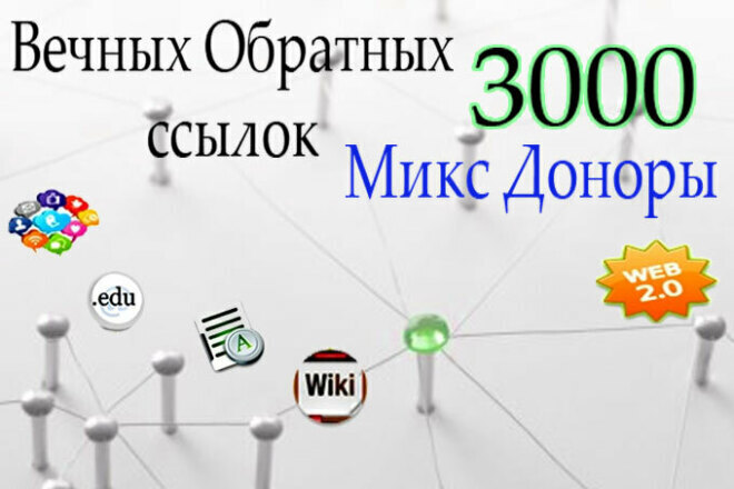  3000   Wiki   