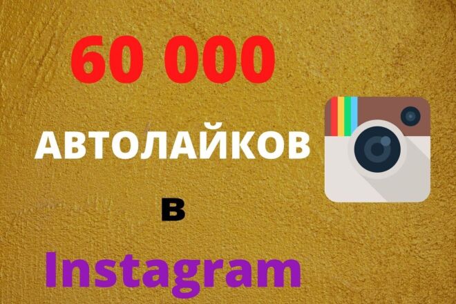   ,     Instagram  60 000 