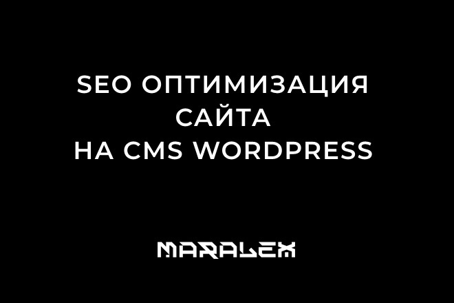 SEO    CMS WordPress