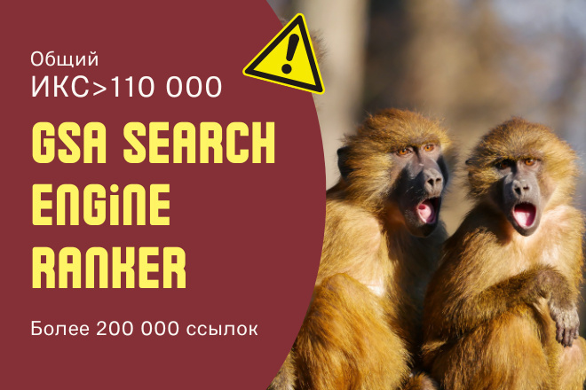   GSA Search Engine Ranker 10 000   