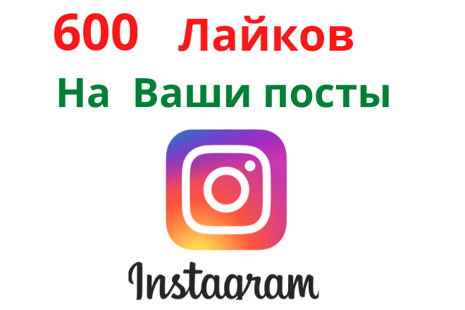Instagram , 600   ,    