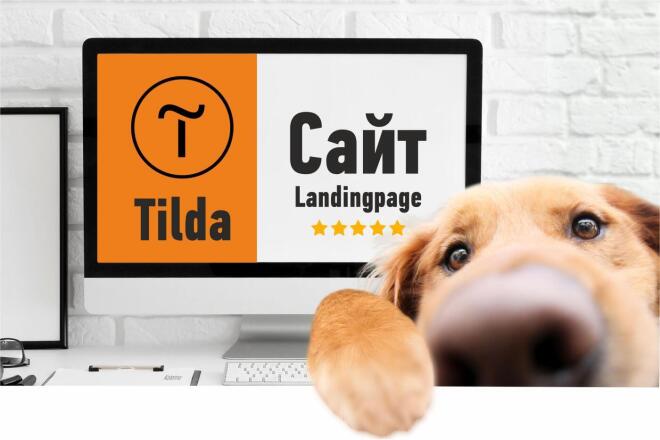     Wordpress  Tilda.   