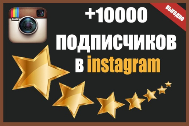 10 000   Instagram.  365 