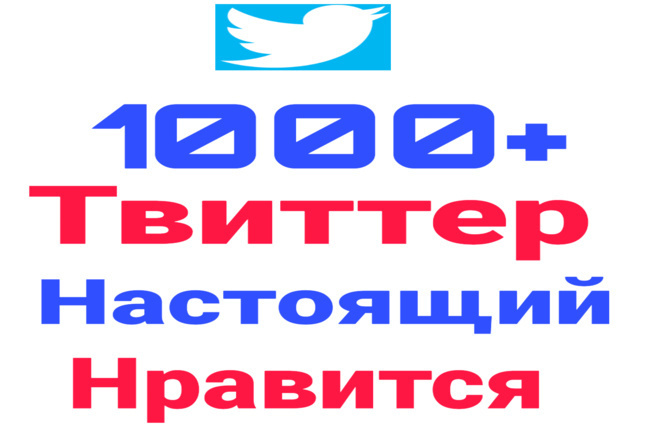﻿﻿Мы можем обеспечить вам 1000 высококачественных подписчиков в Твиттере всего за 1 500 рублей.