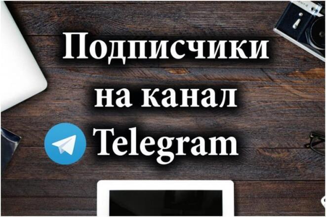 Живой телеграм канал. Подписчики телеграмм. Telegram подписчики. Телеграм канал подписчики. Накрутка подписчиков телеграм.