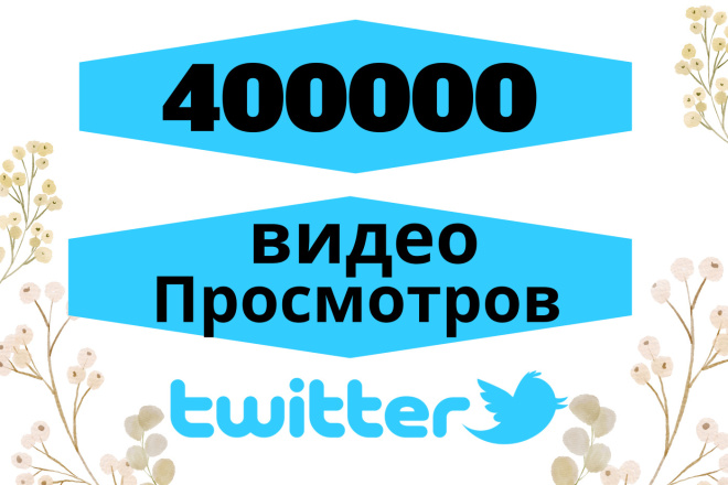     400000  Twitter