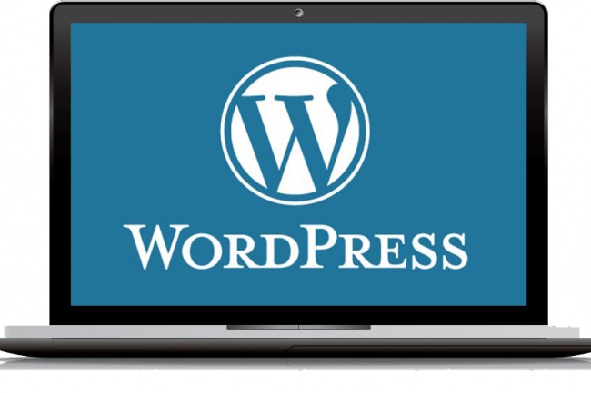   Wordpress