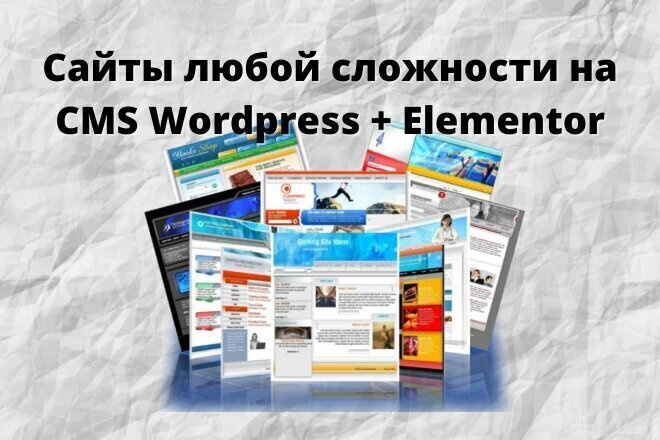    WordPress Elementor