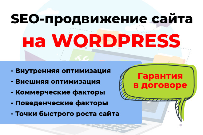 SEO     - wordpress