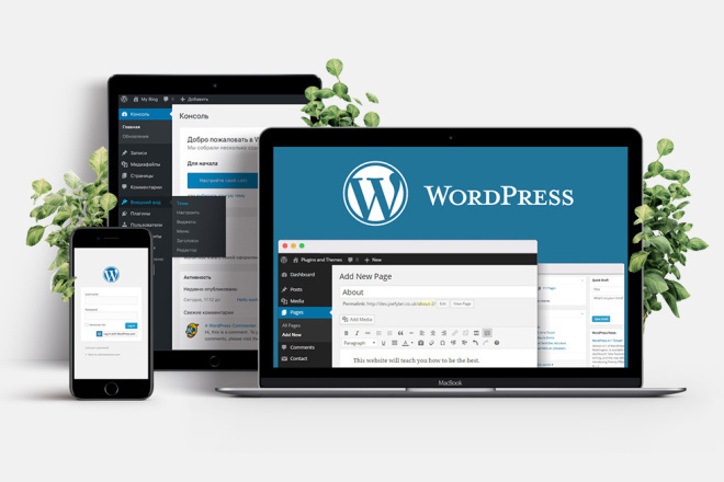   WordPress  