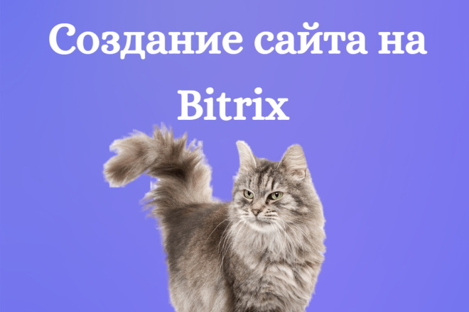   CMS Bitrix  0  
