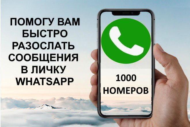 Whatsapp    1000 
