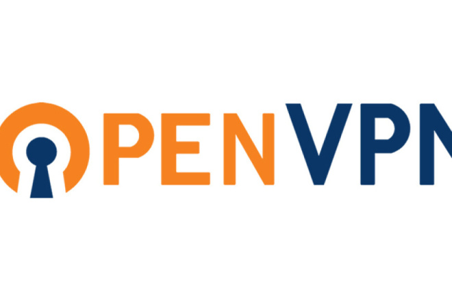 OpenVPN - ,      VPN