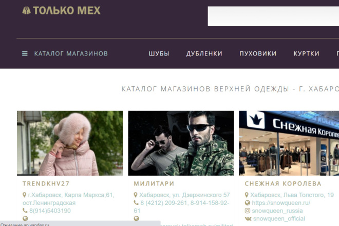 Топ 1 в Хабаровске и Самаре с трафиком. Сайт магазинов верхней одежды