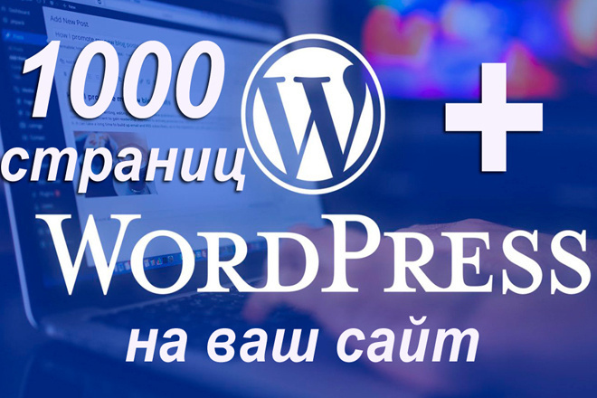  1000 +     WordPress