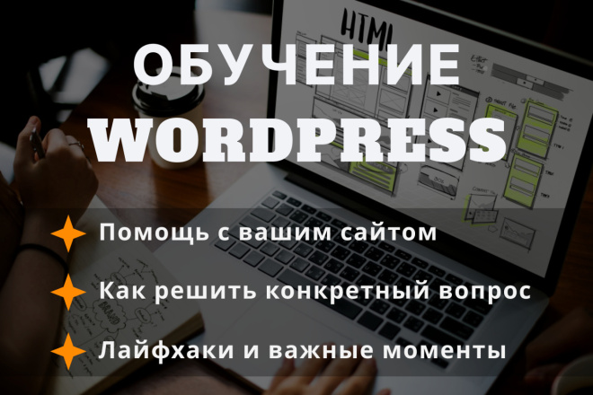  WordPress     