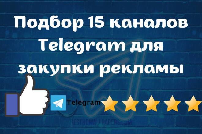  15  Telegram   