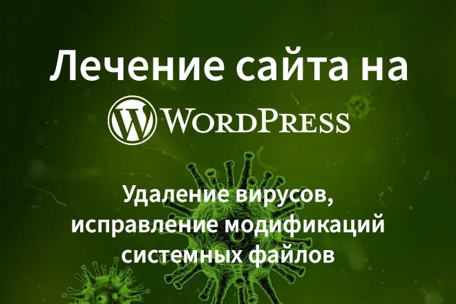    Wordpress,  ,  