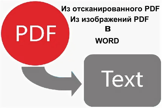    pdf  word