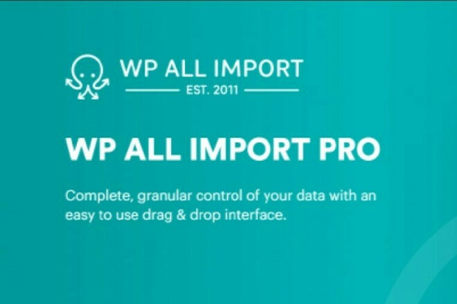 Wp all Import. Wp all Export Pro. Wp all import pro