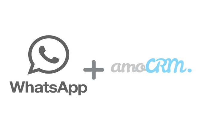WhatsApp  amoCRM   API