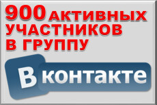 900 активных участников в группу ВКонтакте. РФ+СНГ. Гарантия
