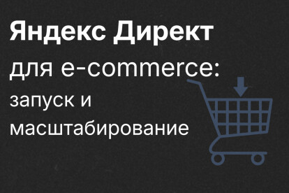 Настройка и ведение e-commerce проекта в Директе