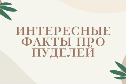 Сделаю для вас уникальную карточку на маркетплэйс